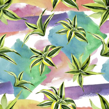 Dracena yeşil yaprakları. Yaprak bitki botanik çiçek yaprakları. Suluboya illüstrasyon seti. Kesintisiz arka plan deseni.