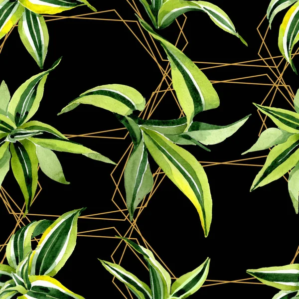 Hojas verdes Dracena. Follaje floral botánico de hojas. Juego de ilustración en acuarela. Patrón de fondo sin costuras . — Foto de Stock