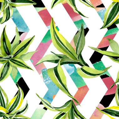 Dracena yeşil yaprakları. Yaprak bitki botanik çiçek yaprakları. Suluboya illüstrasyon seti. Kesintisiz arka plan deseni.