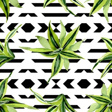 Dracena yeşil yaprakları. Yaprak bitki botanik çiçek yaprakları. Suluboya illüstrasyon seti. Kesintisiz arka plan deseni.