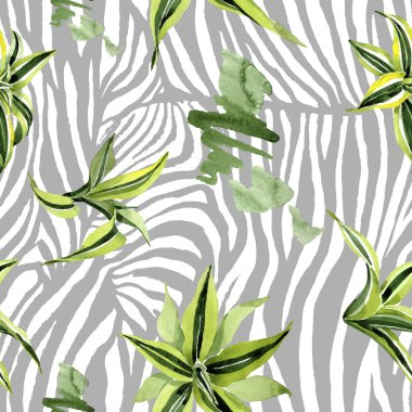 Dracena yeşil yaprakları. Yaprak bitki botanik çiçek yaprakları. Suluboya illüstrasyon seti. Kesintisiz arka plan deseni.