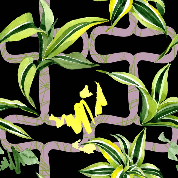 Folhas verdes de Dracena. Folha planta botânica folhagem floral. Conjunto de ilustrações aquarela. Padrão de fundo sem costura . — Fotografia de Stock