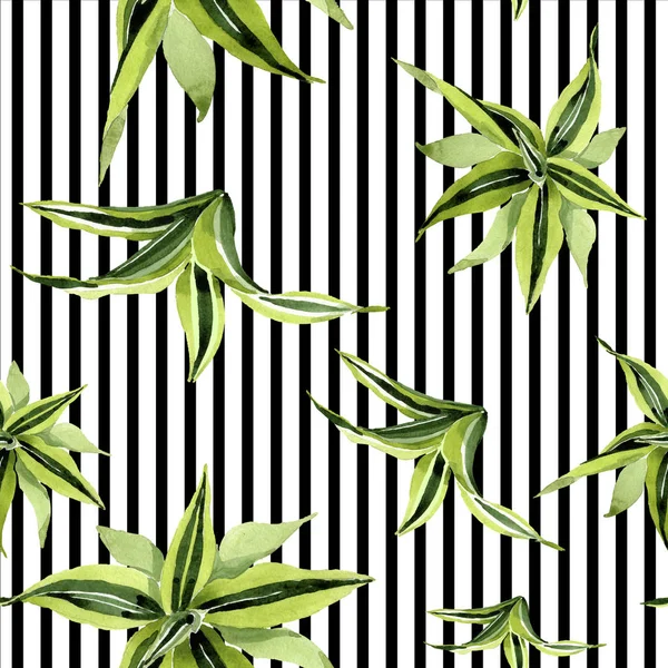 Foglie verdi di Dracena. Foglia vegetale botanica fogliame floreale. Set illustrazione acquerello. Modello di sfondo senza soluzione di continuità . — Foto Stock