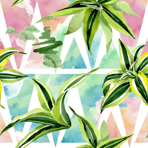Ντράινα πράσινα φύλλα. Φυλλώδη βοτανικά φυτά λουλουδιών. Σετ εικονογράφησης. Ομαλή μοτίβο φόντου. — Φωτογραφία Αρχείου