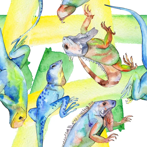 Iguana esotica animale selvatico. Acquerello sfondo illustrazione set. Modello di sfondo senza soluzione di continuità . — Foto Stock