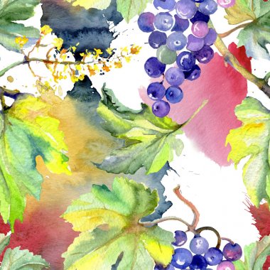 Bir suluboya tarzında üzüm berry sağlıklı gıda. Suluboya arka plan seti. Kesintisiz arka plan deseni.