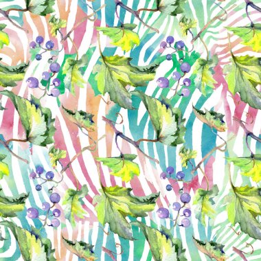 Bir suluboya tarzında üzüm berry sağlıklı gıda. Suluboya arka plan seti. Kesintisiz arka plan deseni.