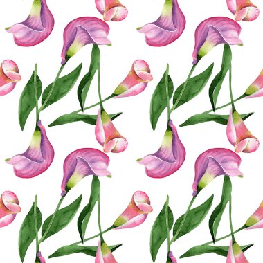 Pembe calla çiçek botanik çiçek. Suluboya arka plan illüstrasyon seti. Kesintisiz arka plan deseni.