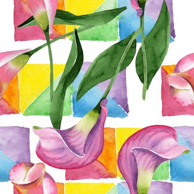 Pembe calla çiçek botanik çiçek. Suluboya arka plan illüstrasyon seti. Kesintisiz arka plan deseni.