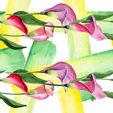 Pembe calla çiçek botanik çiçek. Suluboya arka plan illüstrasyon seti. Kesintisiz arka plan deseni.