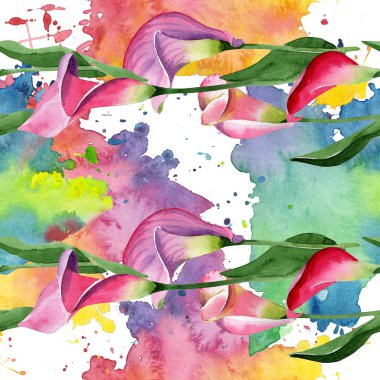 Pembe calla çiçek botanik çiçek. Suluboya arka plan illüstrasyon seti. Kesintisiz arka plan deseni.