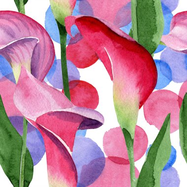 Pembe calla çiçek botanik çiçek. Suluboya arka plan illüstrasyon seti. Kesintisiz arka plan deseni.