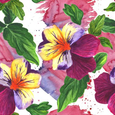 Viyola çiçek botanik çiçek. Suluboya arka plan illüstrasyon seti. Kesintisiz arka plan deseni.