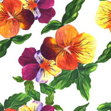 Viyola çiçek botanik çiçek. Suluboya arka plan illüstrasyon seti. Kesintisiz arka plan deseni.
