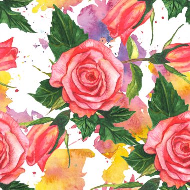 Pembe gül çiçek botanik çiçek. Suluboya arka plan illüstrasyon seti. Kesintisiz arka plan deseni.