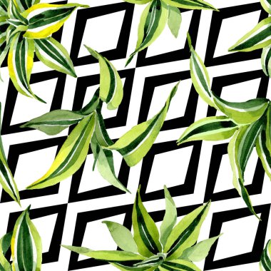 Dracena yeşil yaprakları. Yaprak bitki botanik çiçek yaprakları. Suluboya illüstrasyon seti. Kesintisiz arka plan deseni.