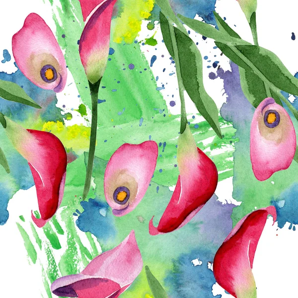 Pembe calla çiçek botanik çiçek. Suluboya arka plan illüstrasyon seti. Kesintisiz arka plan deseni.