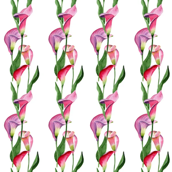 Rosa calla flor botânica floral. Conjunto de ilustração de fundo aquarela. Padrão de fundo sem costura . — Fotografia de Stock