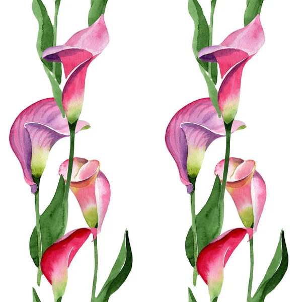 Rosa calla flor botânica floral. Conjunto de ilustração de fundo aquarela. Padrão de fundo sem costura . — Fotografia de Stock