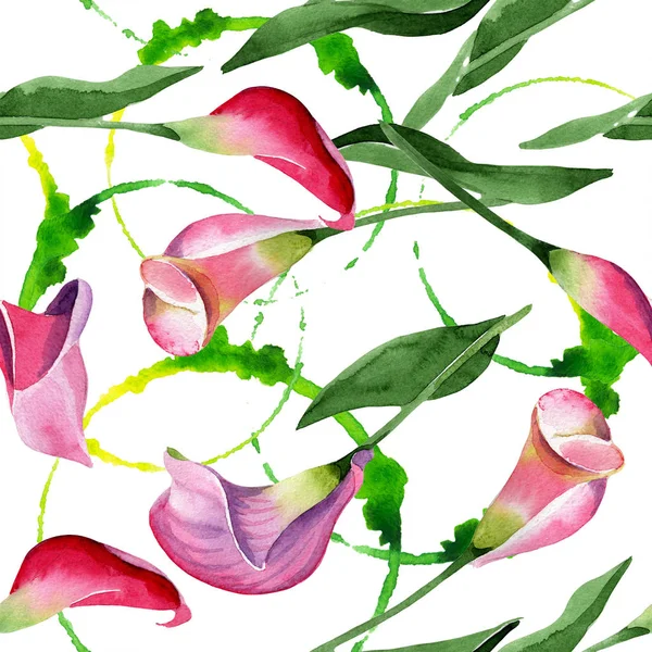 Rosa calla flor botânica floral. Conjunto de ilustração de fundo aquarela. Padrão de fundo sem costura . — Fotografia de Stock