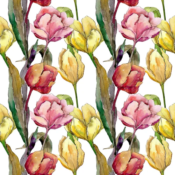 Tulipano fiori botanici floreali. Acquerello sfondo illustrazione set. Modello di sfondo senza soluzione di continuità . — Foto Stock