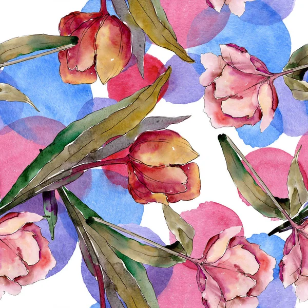 Fleurs botaniques florales de tulipes. Ensemble d'illustration de fond aquarelle. Modèle de fond sans couture . — Photo