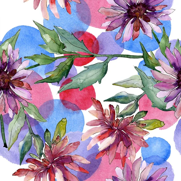 아스터 꽃 식물 꽃입니다. 수채화 배경 일러스트 세트입니다. 원활한 배경 패턴. — 스톡 사진