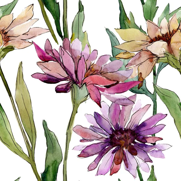 Aster blühende botanische Blumen. Aquarell Hintergrundillustration Set. nahtloses Hintergrundmuster. — Stockfoto