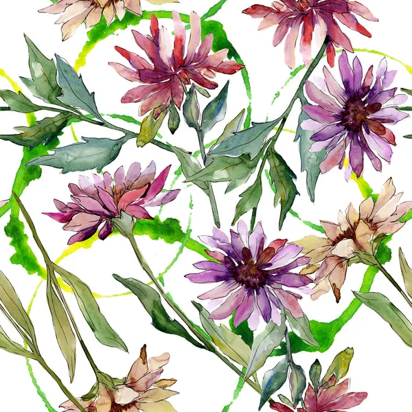 Aster flores botánicas florales. Conjunto de ilustración de fondo acuarela. Patrón de fondo sin costuras . — Foto de Stock