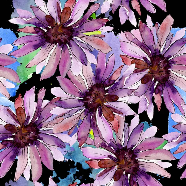 Aster flores botánicas florales. Conjunto de ilustración de fondo acuarela. Patrón de fondo sin costuras . — Foto de Stock