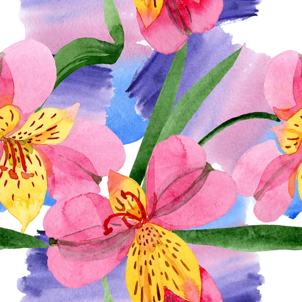 Pembe alstroemeria çiçek botanik çiçekler. Suluboya arka plan illüstrasyon seti. Kesintisiz arka plan deseni.