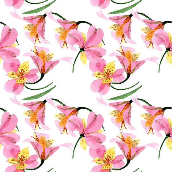 Pembe alstroemeria çiçek botanik çiçekler. Suluboya arka plan illüstrasyon seti. Kesintisiz arka plan deseni. — Stok fotoğraf