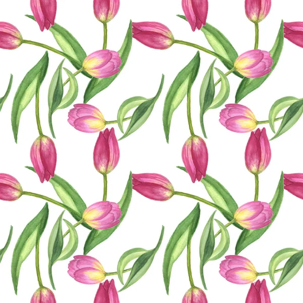 Lila Tulpe florale botanische Blume. Aquarell Hintergrundillustration Set. nahtloses Hintergrundmuster. — Stockfoto