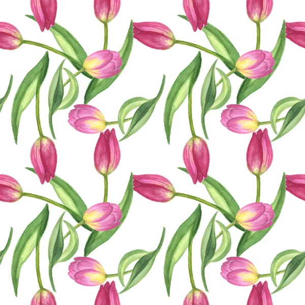 Purple tulip floral botanical flower. Watercolor background illustration set. Seamless background pattern.