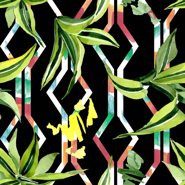 Hojas verdes Dracena. Follaje floral botánico de hojas. Juego de ilustración en acuarela. Patrón de fondo sin costuras . — Foto de Stock