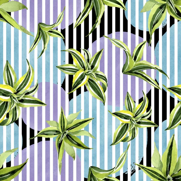 Hojas verdes Dracena. Follaje floral botánico de hojas. Juego de ilustración en acuarela. Patrón de fondo sin costuras . —  Fotos de Stock