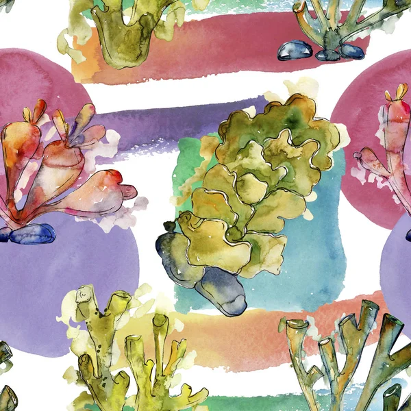 Recifes de corais aquáticos subaquáticos coloridos. Conjunto de ilustração de fundo aquarela. Padrão de fundo sem costura . — Fotografia de Stock