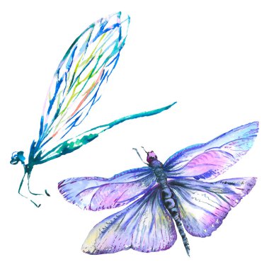 Egzotik yusufçuk vahşi böcek. Suluboya arka plan illüstrasyon seti. İzole yusufçuk illüstrasyon elemanı.