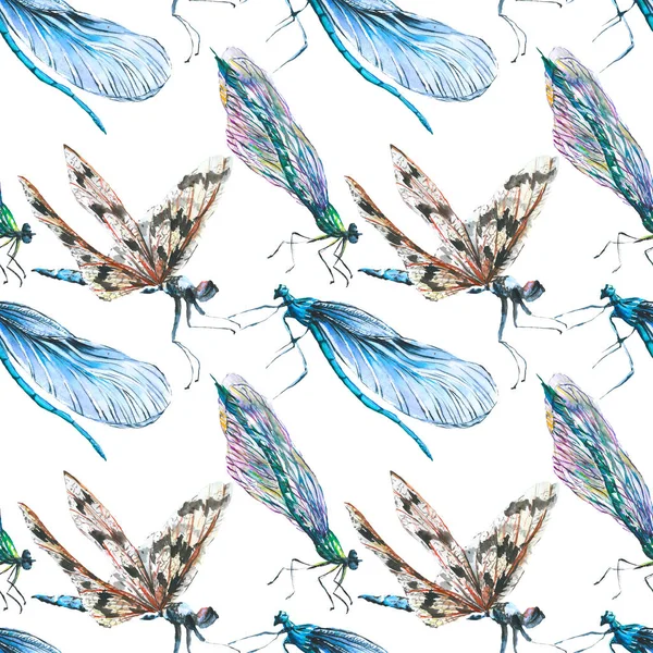 Экзотические стрекозы дикие насекомые. Набор акварельных фонов. Бесшовный рисунок фона . — стоковое фото