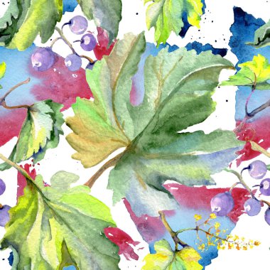 Bir suluboya tarzında üzüm berry sağlıklı gıda. Suluboya arka plan seti. Kesintisiz arka plan deseni.