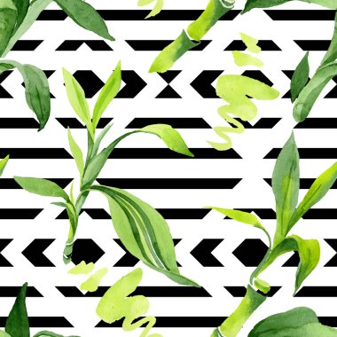 Bambu yeşil yaprakları. Suluboya arka plan illüstrasyon seti. Kesintisiz arka plan deseni.