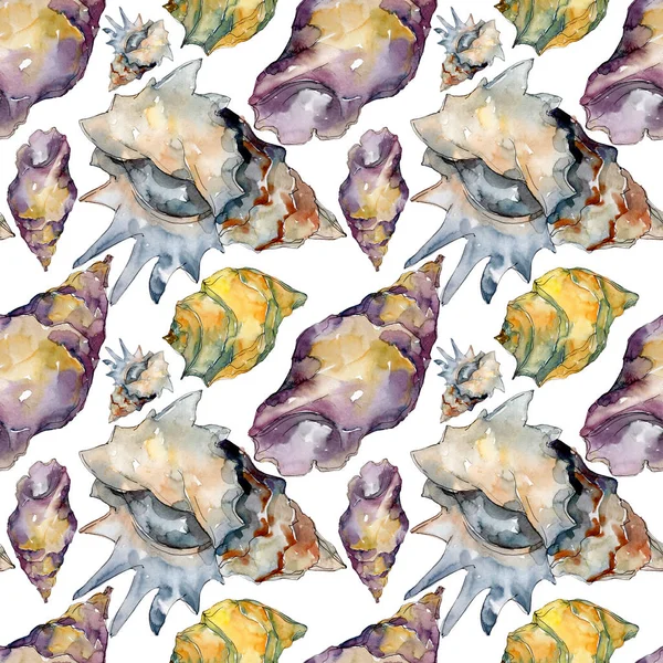 Zomer strand Seashell tropische elementen. Aquarel illustratie set. Naadloos achtergrond patroon. — Stockfoto