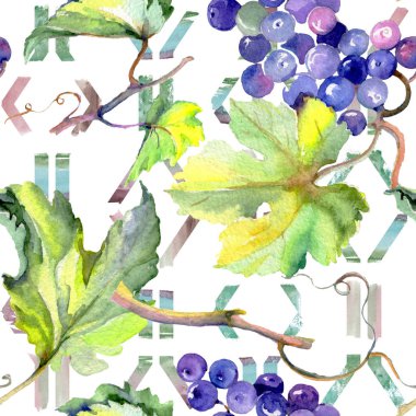 Bir suluboya tarzında üzüm berry sağlıklı gıda. Suluboya arka plan seti. Kesintisiz arka plan deseni.