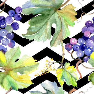 Bir suluboya tarzında üzüm berry sağlıklı gıda. Suluboya arka plan seti. Kesintisiz arka plan deseni.