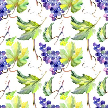 Bir suluboya tarzında üzüm berry sağlıklı gıda. Suluboya arka plan seti. Kesintisiz arka plan deseni.
