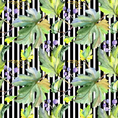 Bir suluboya tarzında üzüm berry sağlıklı gıda. Suluboya arka plan seti. Kesintisiz arka plan deseni.