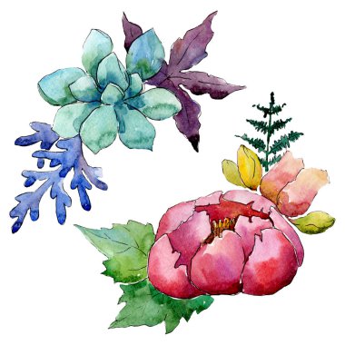 Çiçek kompozisyonu. Çiçek botanik çiçekleri. Suluboya arka plan seti. İzole buketleri illüstrasyon elemanı.