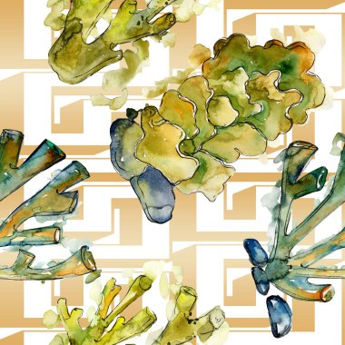 Renkli su sualtı doğa mercan kayalığı. Suluboya arka plan illüstrasyon küme. Sorunsuz arka plan deseni.