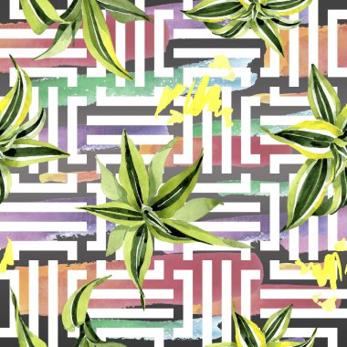 Dracena yeşil yaprakları. Yaprak bitki botanik çiçek yaprakları. Suluboya illüstrasyon seti. Kesintisiz arka plan deseni.