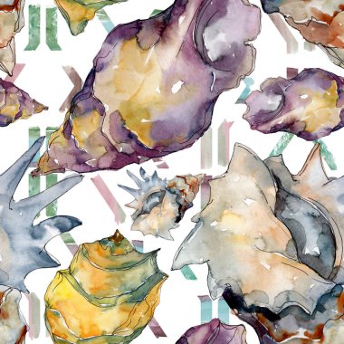 Yaz plaj deniz kabuğu tropikal unsurlar. Suluboya illüstrasyon seti. Kesintisiz arka plan deseni.